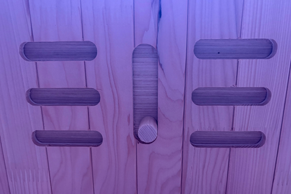 Blisspod Malmo 2-Person Infrared Sauna with Red Light Panel, 5 Carbon Heaters and LED Color Lighting